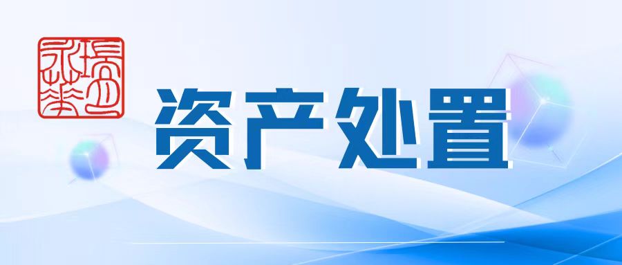 瑞月•资产处置 | 2024年12月第二期